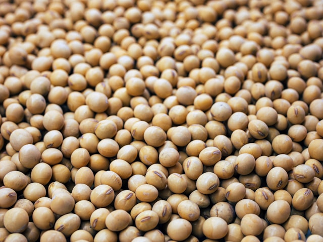 Soy
